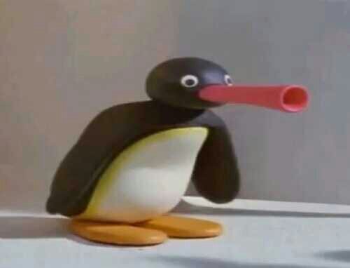 NOOT NOOT