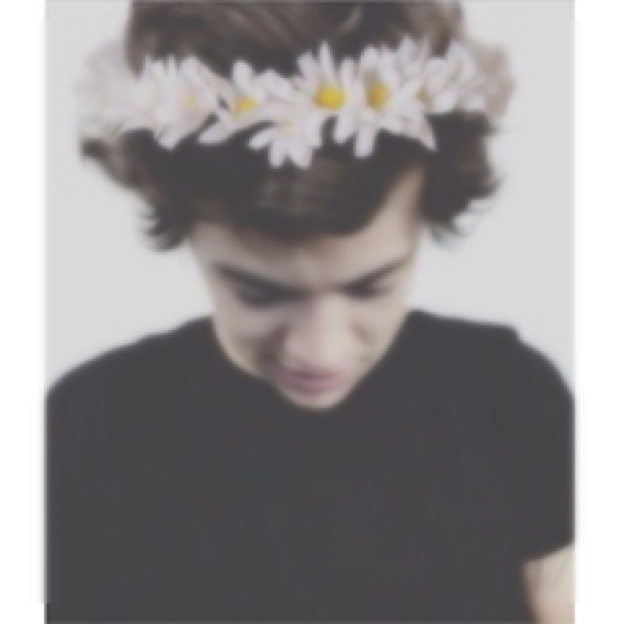Im harry! Im abit Shy! I love cuddles ❤ Hugs Flower crowns☺