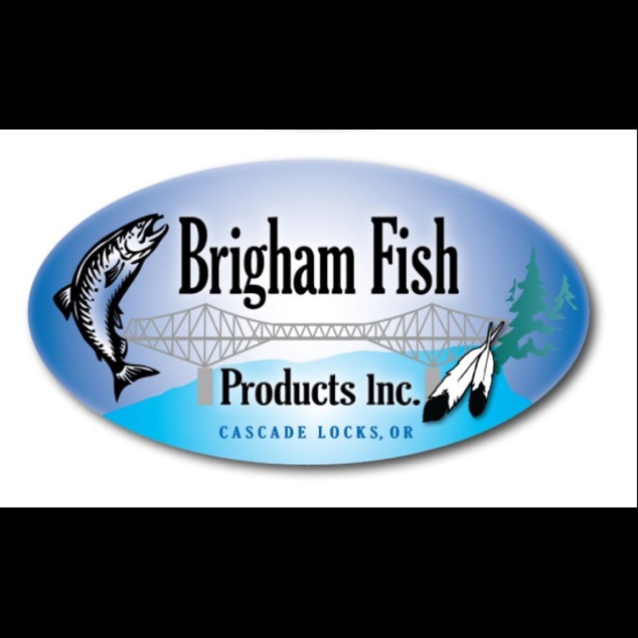 BrighamFish's profile picture. 