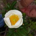 Samuel Franks - @FranksSamuel - Twitter