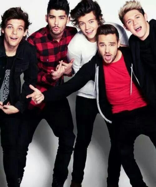 directioner , mixer and 5SOSfam  follow for follow