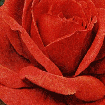 PhoebeLysbethK's profile picture. http://t.co/UfAFnFrZQs