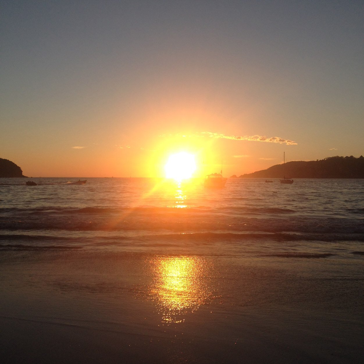 arimosca's profile picture. 