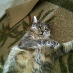 KimGefre's profile picture. 