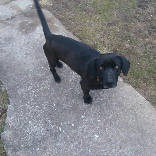 elizabethmcgre9's profile picture. 