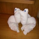 Sheila Power - @spower5959 - Twitter