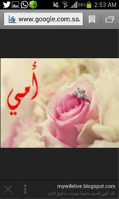 ‏‏‏‏‏‏‏استغفرالله