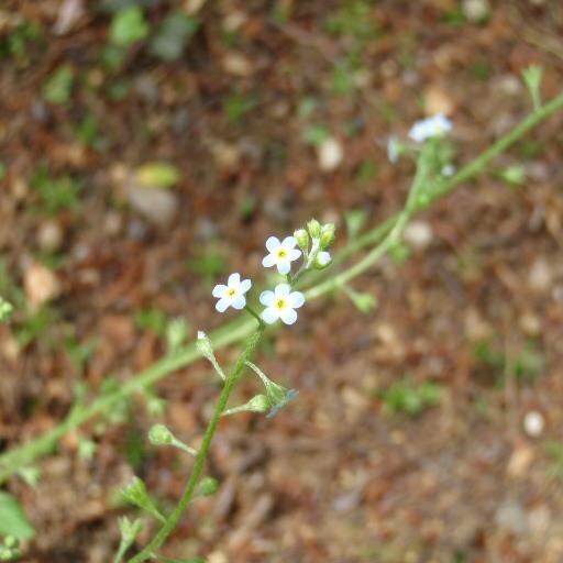 miwaxu8u's profile picture. 魅惑の生活☆彡
見つけた何気ない日常のツイートです。よろしくね(^_-)-☆