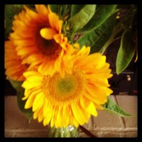 kyenne williams (@chindi) 's Twitter Profile