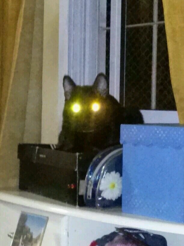 sandralucero72's profile picture. 