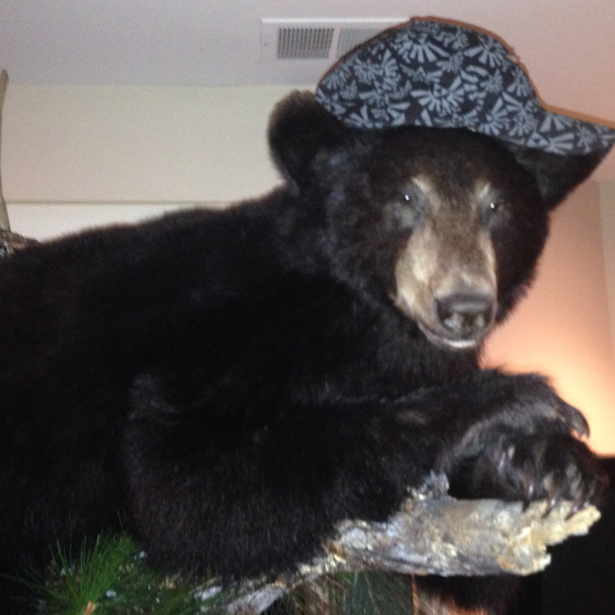 I'm the BearManDaddy, I hibernate in any weather. I reside in the Night at the Museum house and keep it fresh during Friday night Bible Study.