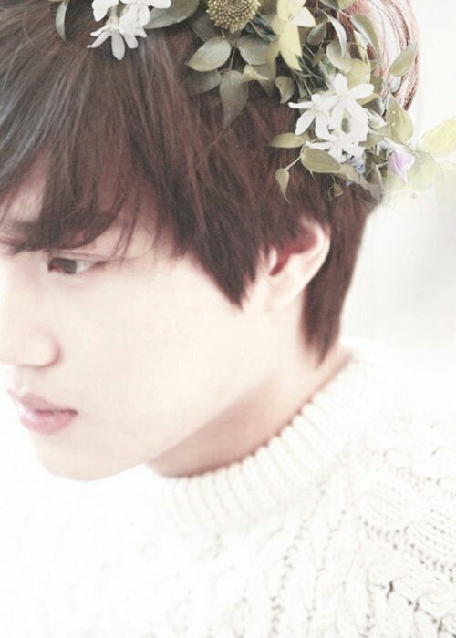 Personal and Followback acc for @94950239 ////sorry but i can't stand the mess of my tl//// DON'T FOLLOW.