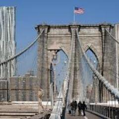 dhamerhodges's profile picture. 