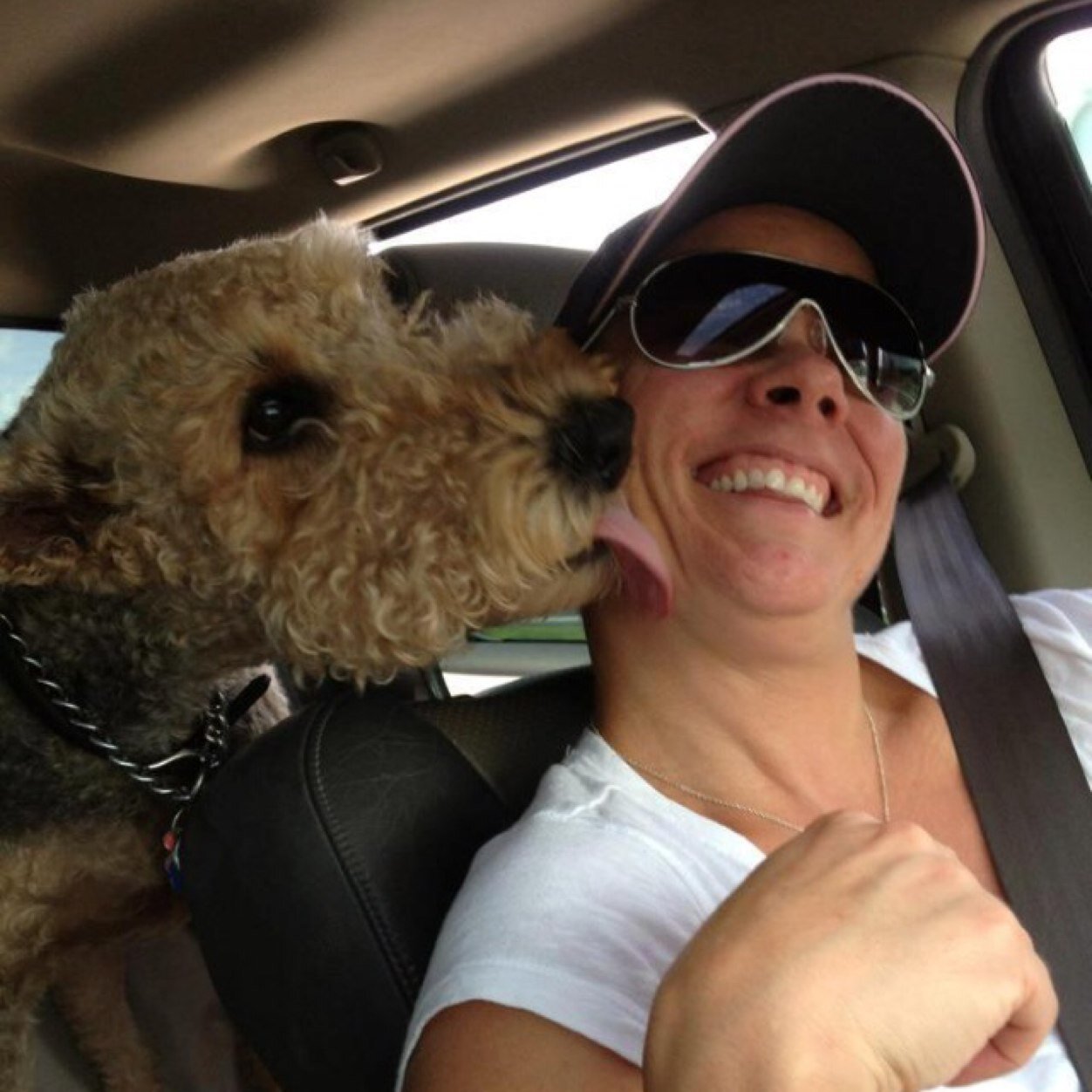 ERWROVER's profile picture. 