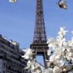 ReeseB3rry's profile picture. about-Hardcore web expert  -