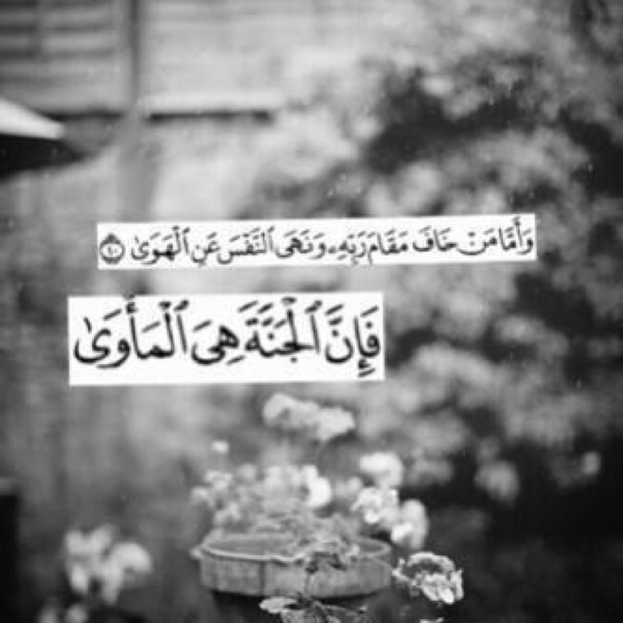 رحل محمد لجوار ربه بعمر الثامنة عشر , اللهم عوض شبابه في الجنه واجمعنا به ، وارحمه واغفر له ياحي ياقيوم .
*استغفرالله العظيم واتوب اليه*