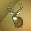 Wyatt Goodwin - @WyattGoodwin18 - Twitter