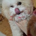 Ruben Arevalo - @RubenArevalo17 - Twitter