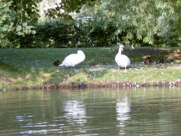 orchis8's profile picture. 사람이 살만한 세상을 위하여...,