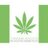 cannabisinv's profile image