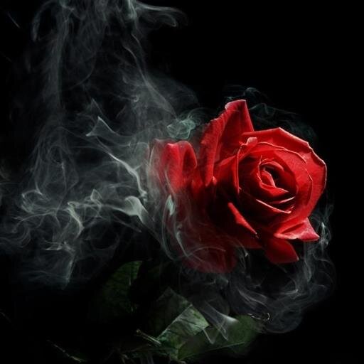 sparklenfades's profile picture. I had the right to be silent I just didn't have the ability! love laughing, learn to cope by laughter besides PTSD via my own pain must it take away my smile :P