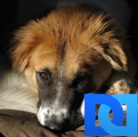 LiteisoN's profile picture. Retired social worker, pursuer of freedom for and freedom from.  Life is Good, will be GREAT when we let it, if we can only 'get it'.  Obama helps. #UniteBlue