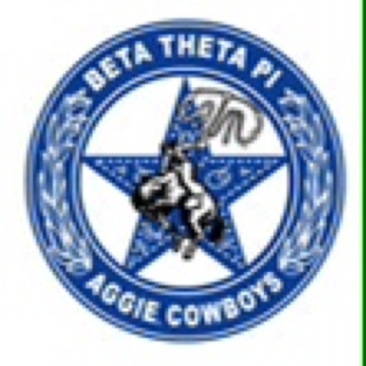 aggiecowboys's profile picture. Epsilon Eta Chapter of Beta Theta Pi at Texas A&M University. IYACYAS.