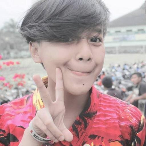 Shima: knocdkdownyhc