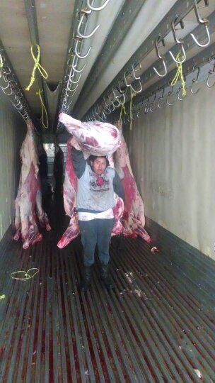 arrazola1993's profile picture. 