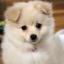 olivia spain - @Spaino101 - Twitter