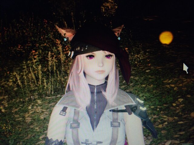 ★FF14☞Alexander鯖

☆学者メイン60
 (白60/占54/召60/ギャザクラALL60)

マイペースにまったりやってます。
最近のお気に入りは黒と忍者
PV始めました(｀_´)ゞ