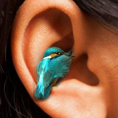 tuitiarono's profile picture. 