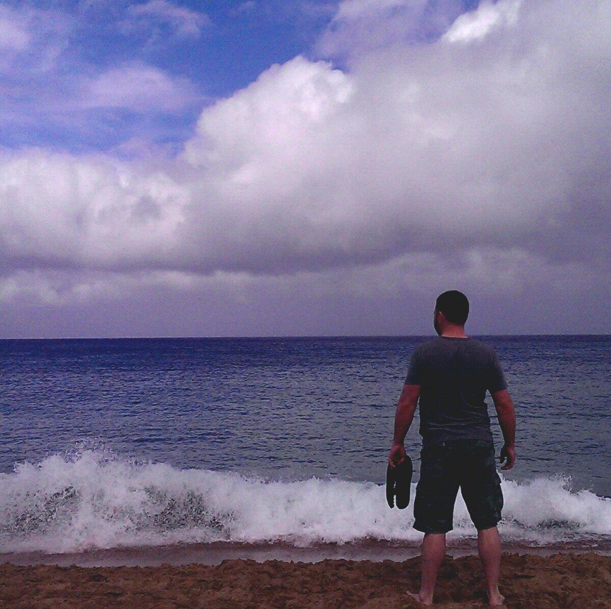 DTelepanich's profile picture. 