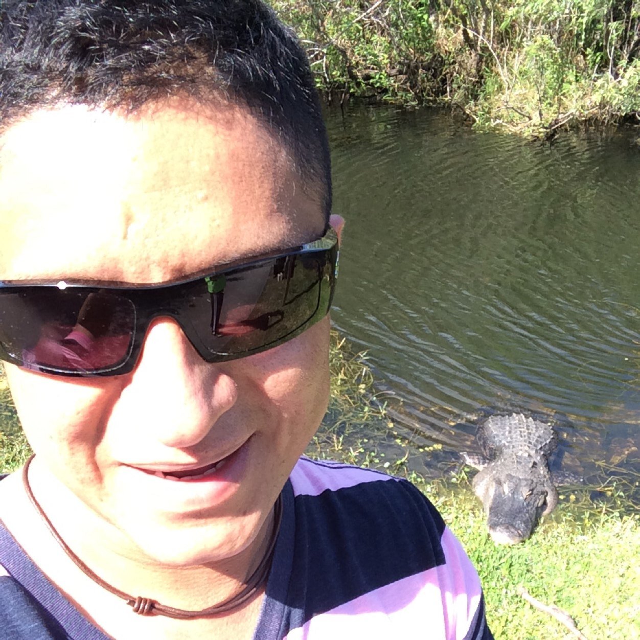 gsandoya's profile picture. Plant Breeder! Science is my passion. Personal account of Germán Sandoya