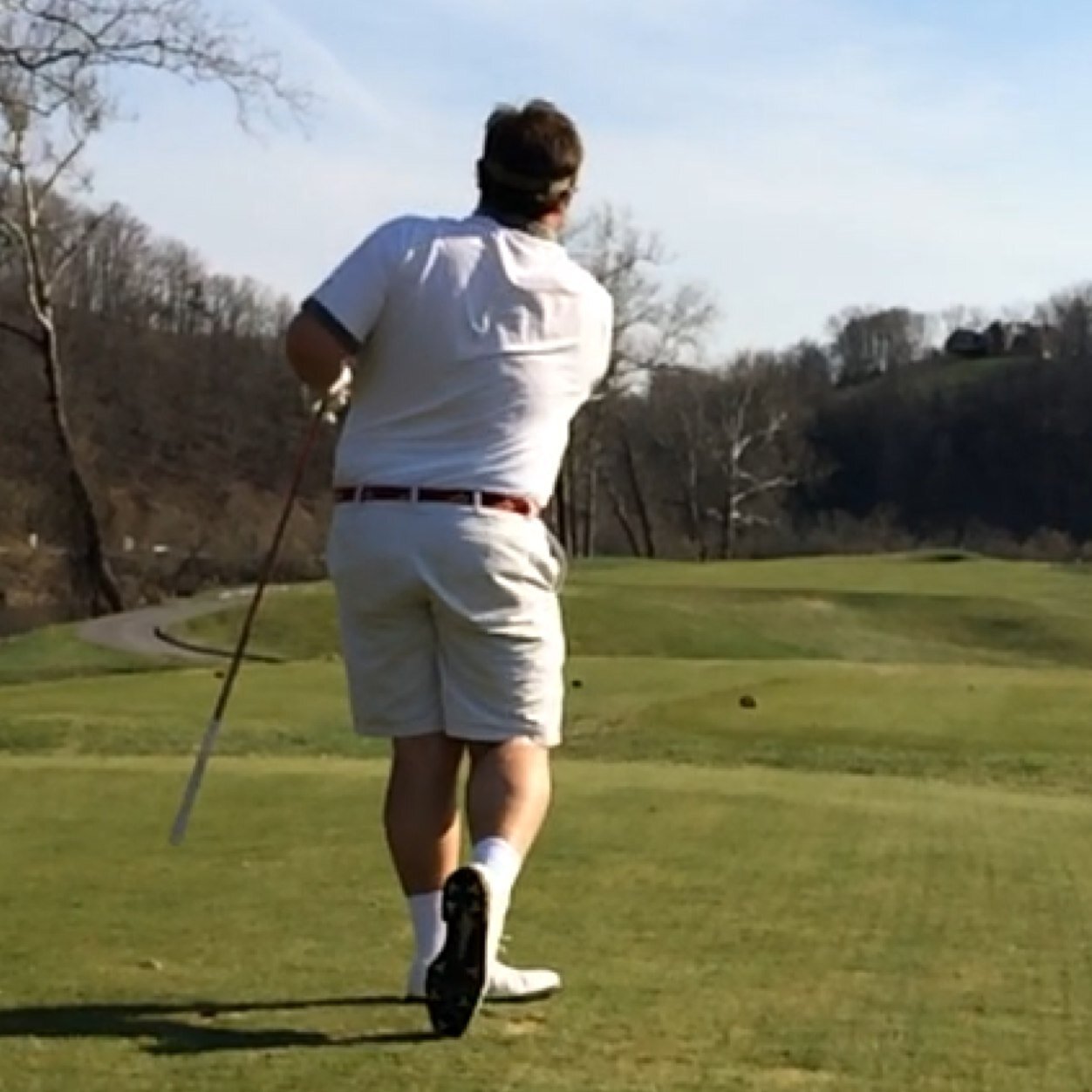 tomassone2's profile picture. 