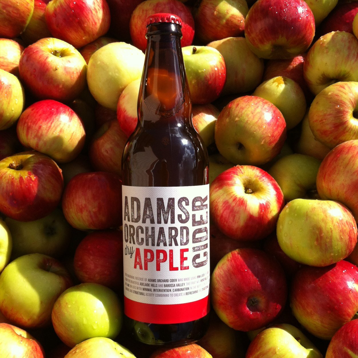 Traditional Farmhouse Barrel Aged Cider Made With Adelaide Hills/Barossa Valley Apples & Pears. Proudly Made In The Barossa Valley.