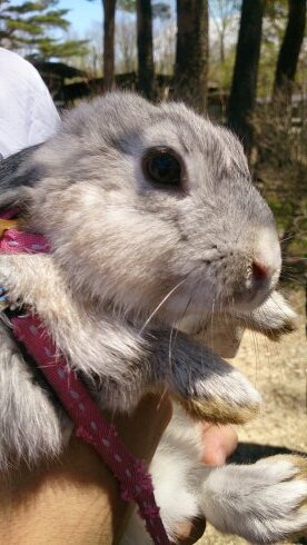 まぁみてのとおりです。フォローブロックご自由に。