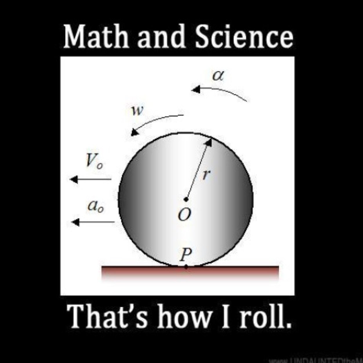 NiCurren416's profile picture. 