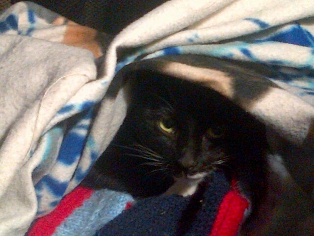 ronel_nell's profile picture. 