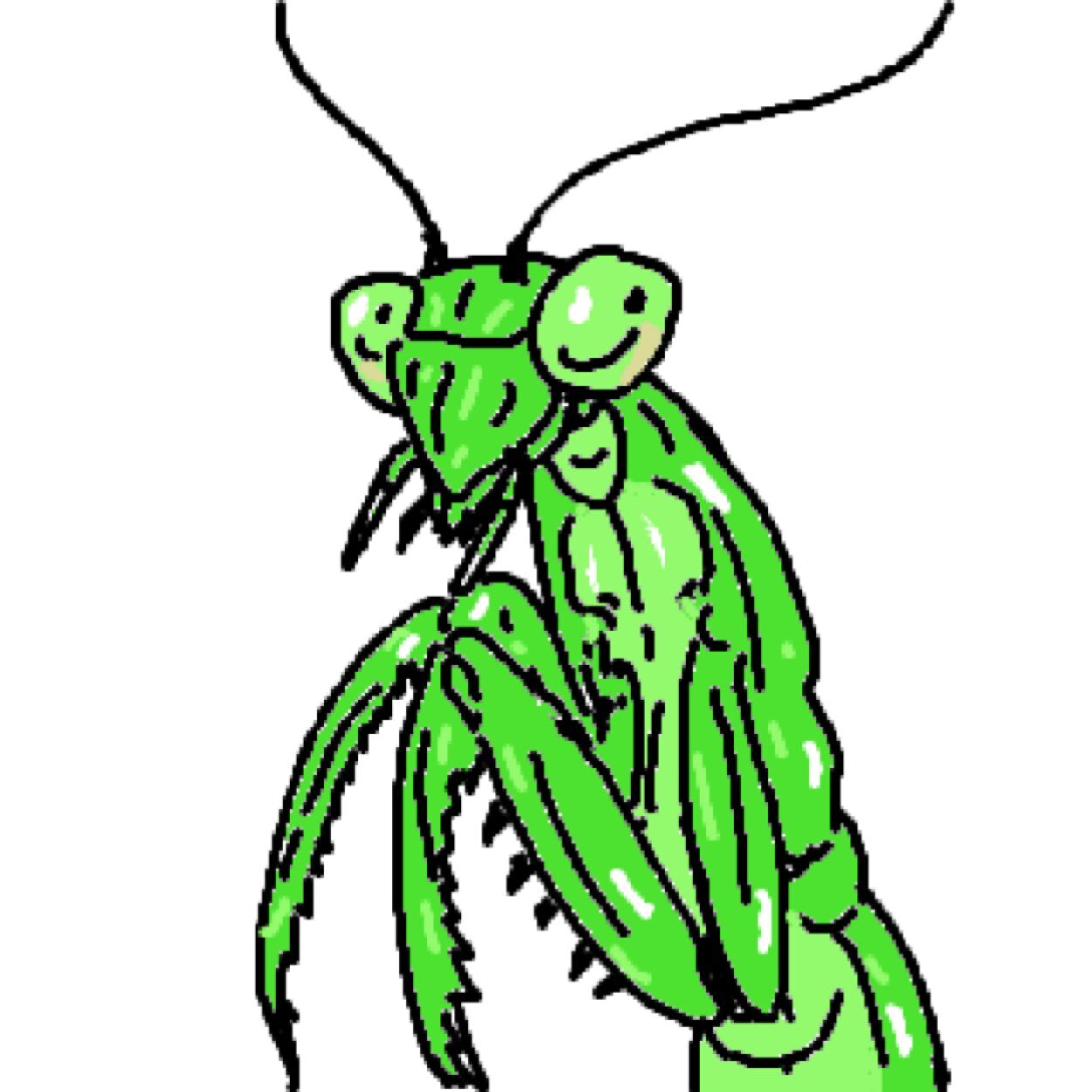 siratatsu's profile picture. 