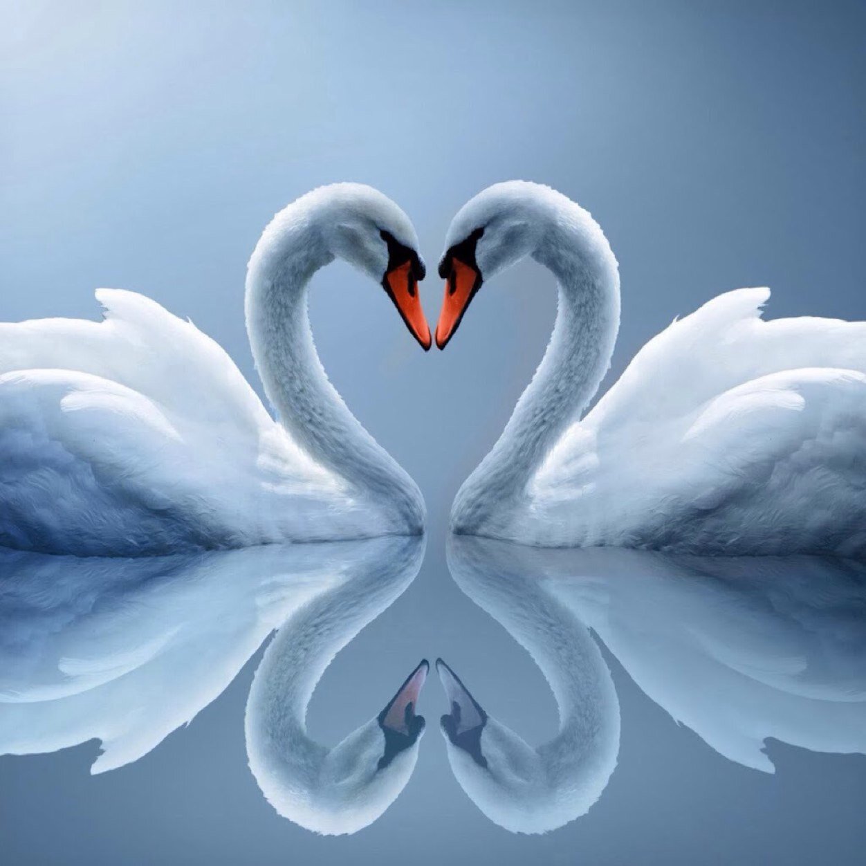 2002Jull's profile picture. 