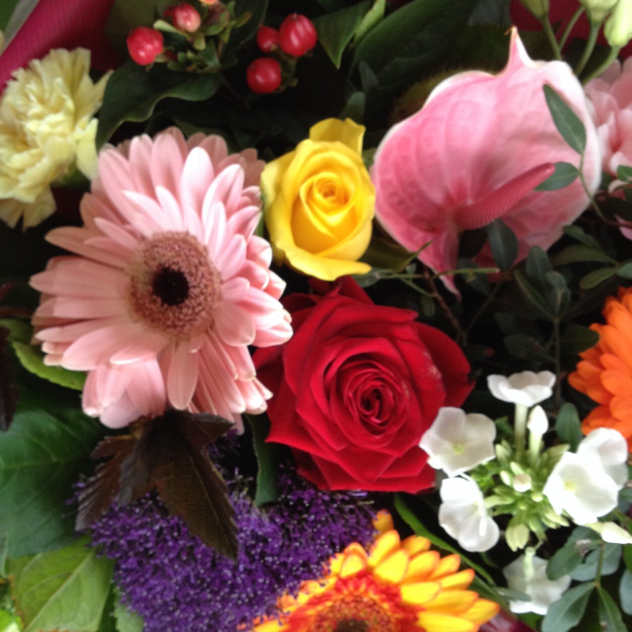 floraprojp's profile picture. Heerlijk genieten van de zomer bloemen vooral de eco van Jan Knook Middenbeemster