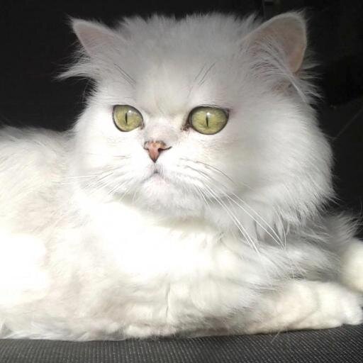 DemedaLoem's profile picture. 