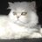 DemedaLoem's profile image