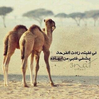 يارب استودعتگ شيئا في خاطري فحققہ لي يا اللہ ♡”