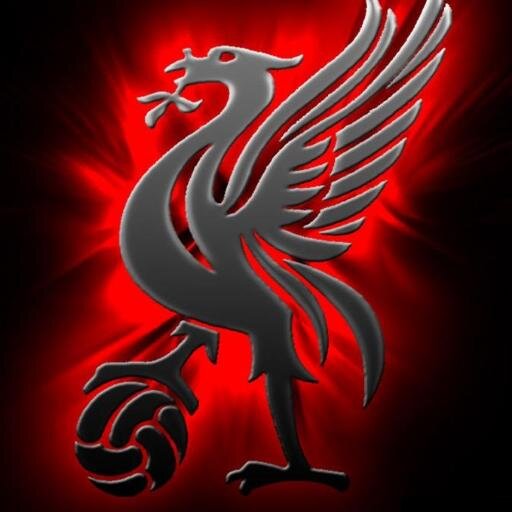 DumHot's profile picture. 