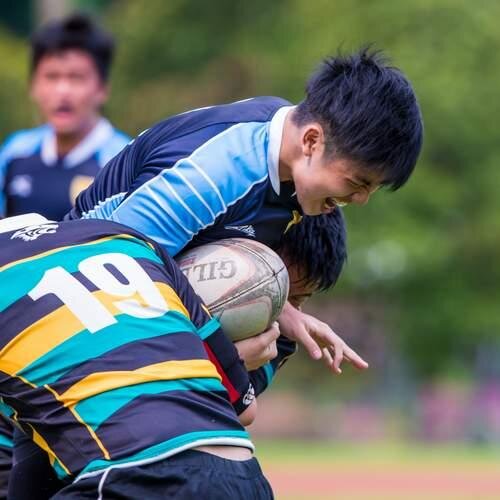 Roderick Lim (@LeLlamaPONYDUCK) | Twitter