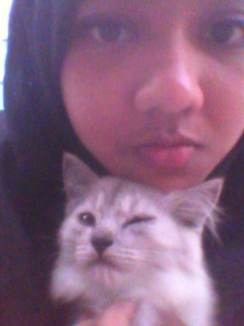 farteen91's profile picture. Nature and cat lover.