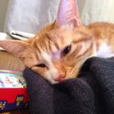 yuto (@0329Yuto) Twitter