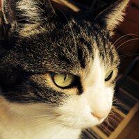 遊水 (@yusui_s) 's Twitter Profile Photo 遊水 (@yusui_s) 's Twitter Profile Photo